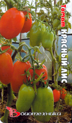 Томат Красный лис