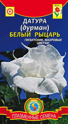цДатура (Дурман) Белый рыцарь 4шт