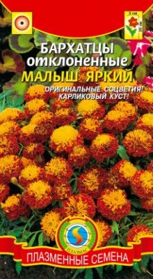 цБархатцы Малыш Яркий откл 30шт