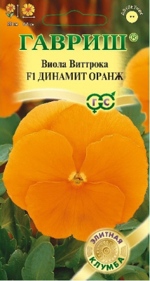 цВиола Виттрока Динамит Оранж