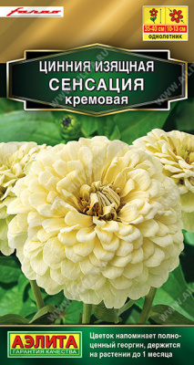 Цинния Сенсация кремовая 12шт