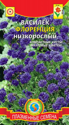 цВасилек Флоренция
