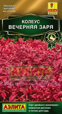 Колеус Вечерняя заря блюме 5шт