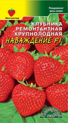 Клубника Наваждение 5шт ремон.крупн.