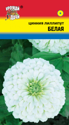 Цинния Лиллипут белая 0,3г