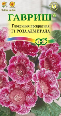 цГлоксиния Роза адмирала 4шт
