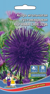 цАстра Ночная звезда