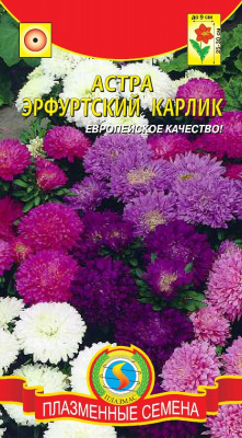 цАстра Эрфуртский карлик смесь 0,3г