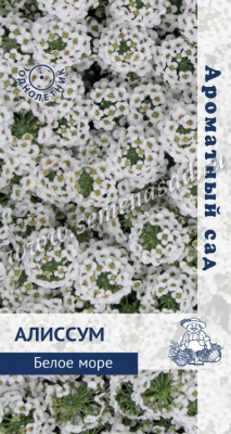 Алиссум Белое море 0,3г (Ароматный сад)