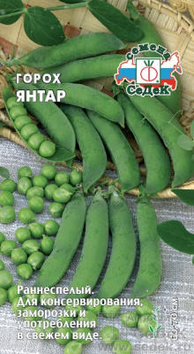 Горох Янтар