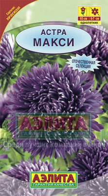 цАстра Макси