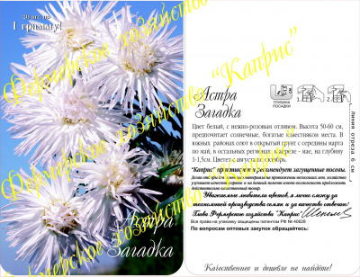 цАстра Загадка