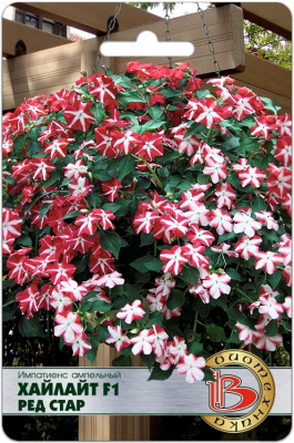 Импатиенс Хайлайт ред стар амп. 10шт