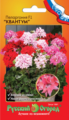 Пеларгония Квантум смесь 5шт Пеларгония Квантум смесь 5шт