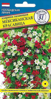 Азарина Мексиканская красавица 5шт