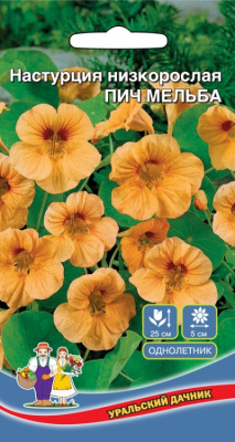 цНастурция Пич Мельба
