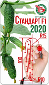 Огурец Стандарт 2020    8шт