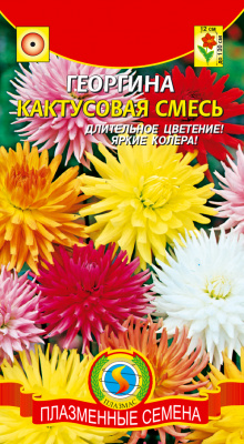 цГеоргина Кактусовая смесь 13шт