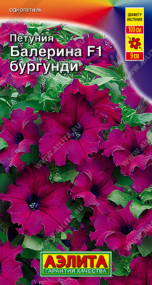 Петуния Балерина бургунди 7шт