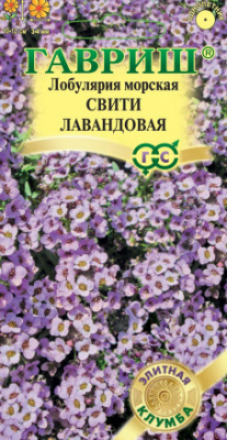 цЛобулярия Свити лавандовая 15шт Элитная клумба