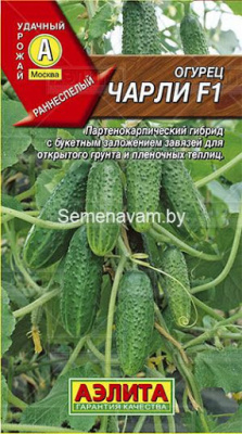 Огурец Чарли