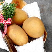 Картофель Отолия (1 кг)