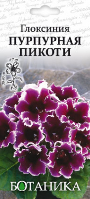цГлоксиния Пикоти пурпурная 7шт