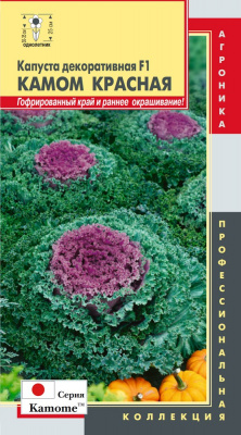 цКапуста декор. Камом красная