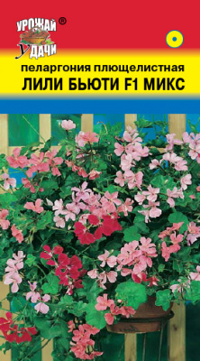 Пеларгония Лили Бьюти плющелистная 3шт Пеларгония Лили Бьюти плющелистная 3шт