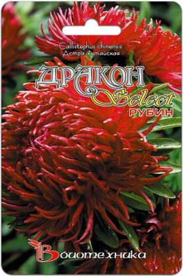 цАстра Дракон Рубин (селект) 100шт