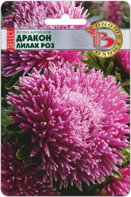 Астра Дракон Лилак роз (селект) 30шт