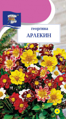 цГеоргина Арлекин смесь