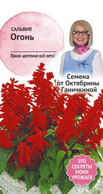 цСальвия Огонь 0,1г (семена от Ганичкиной)