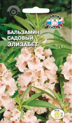 цБальзамин Элизабет