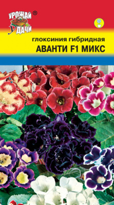 цГлоксиния Аванти Микс