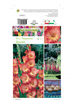 Гладиолус Драма (10 шт)