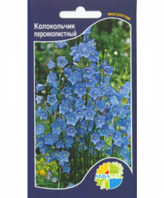 цКолокольчик Персиколистный голубой 0,2г