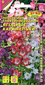 Пенстемон Ягодные карамельки 0,04г