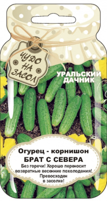 Огурец Брат с Севера (Банка)