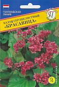 цБадан Красавица 10шт (Голландия)