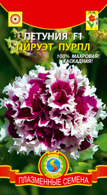 цПетуния Пируэт Пурпл