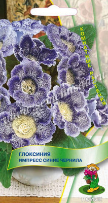 Глоксиния Импресс Синие чернила 5шт
