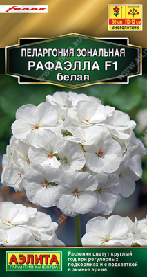 Пеларгония Рафаэлла белая 5шт
