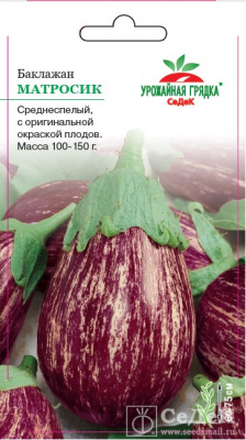 Баклажан Матросик УГ