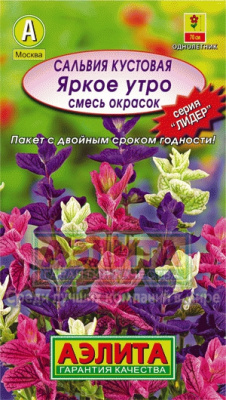 цСальвия Яркое утро смесь Л м/ф