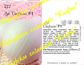 Лук репчатый Стерлинг белый (20пак*0,5г) Нидерланды