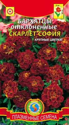 цБархатцы Скарлет София 30 шт
