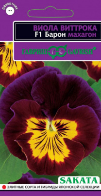 цВиола Барон махагон 5шт
