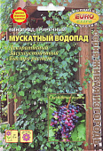 цВиноград Водопад приречный 0,2г