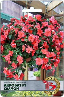 Импатиенс Акробат салмон 8шт
